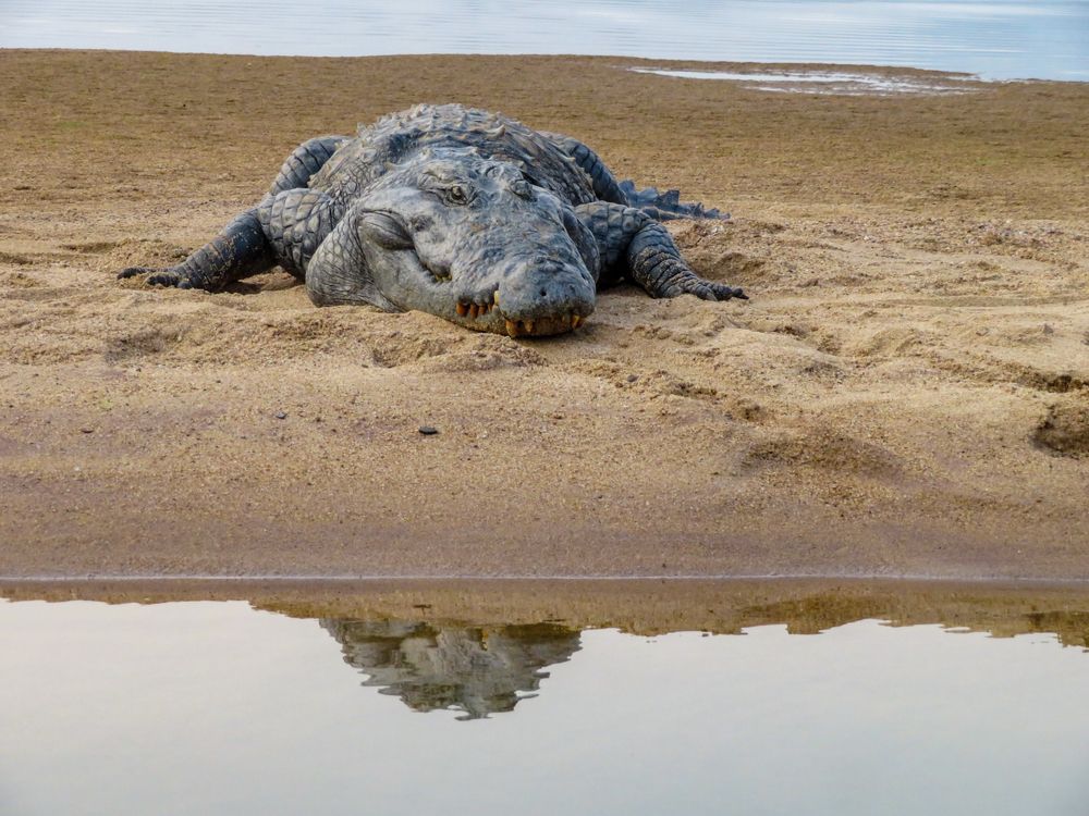 Photograph by Susmita Paul