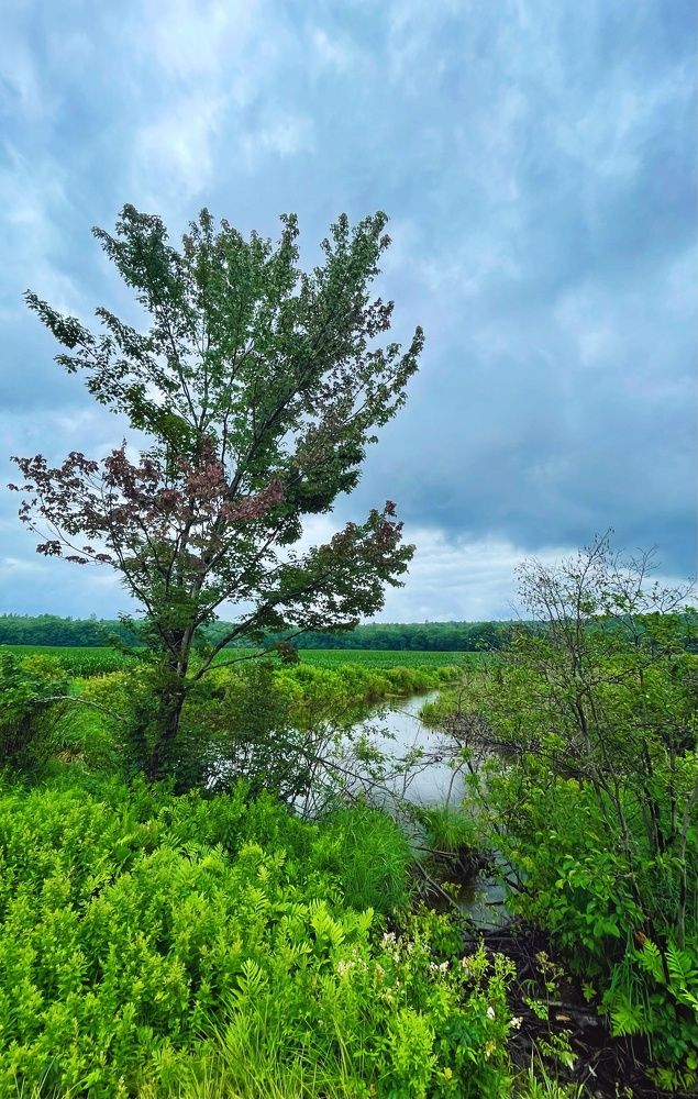 Photograph by Vinay gamit