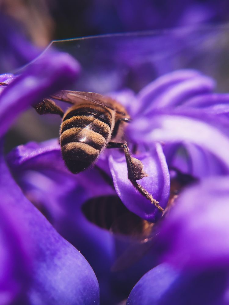 Photograph by Петр Симонькин