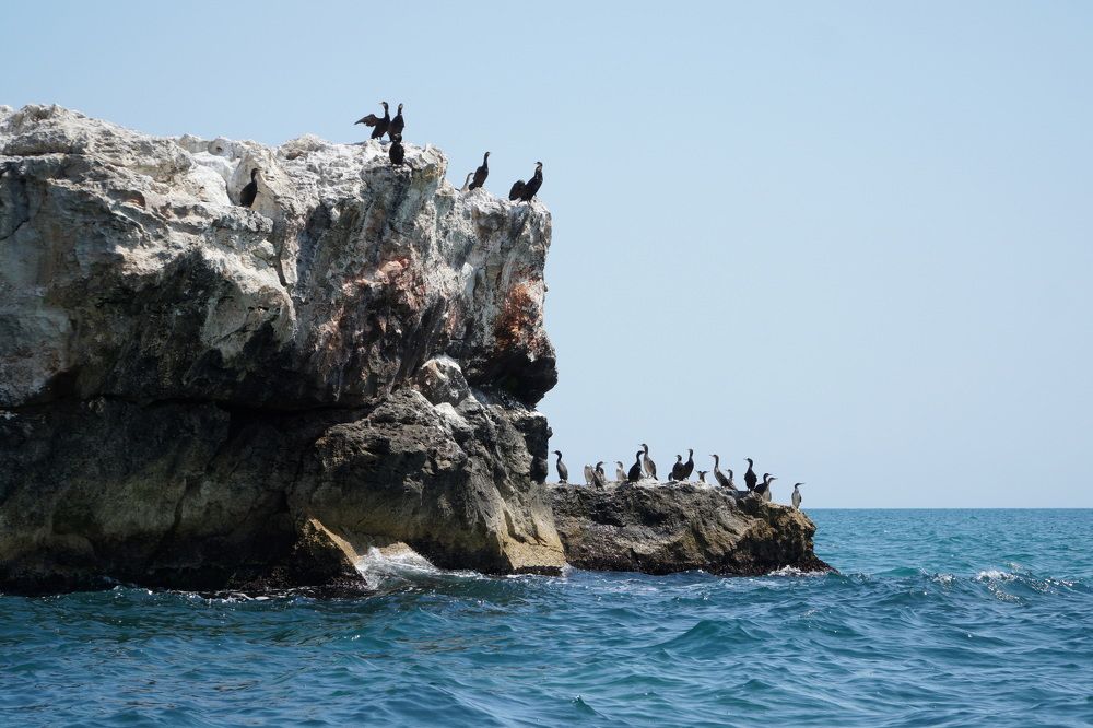 Photograph by Чавдар Георгиев