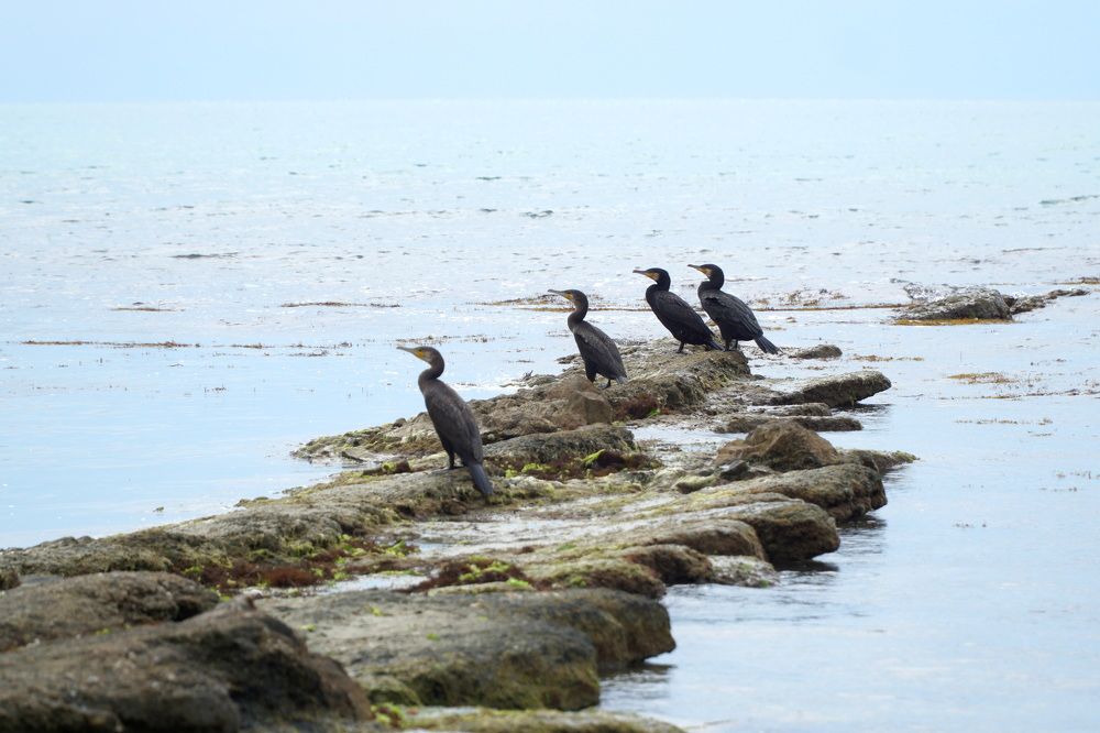 Photograph by Чавдар Георгиев