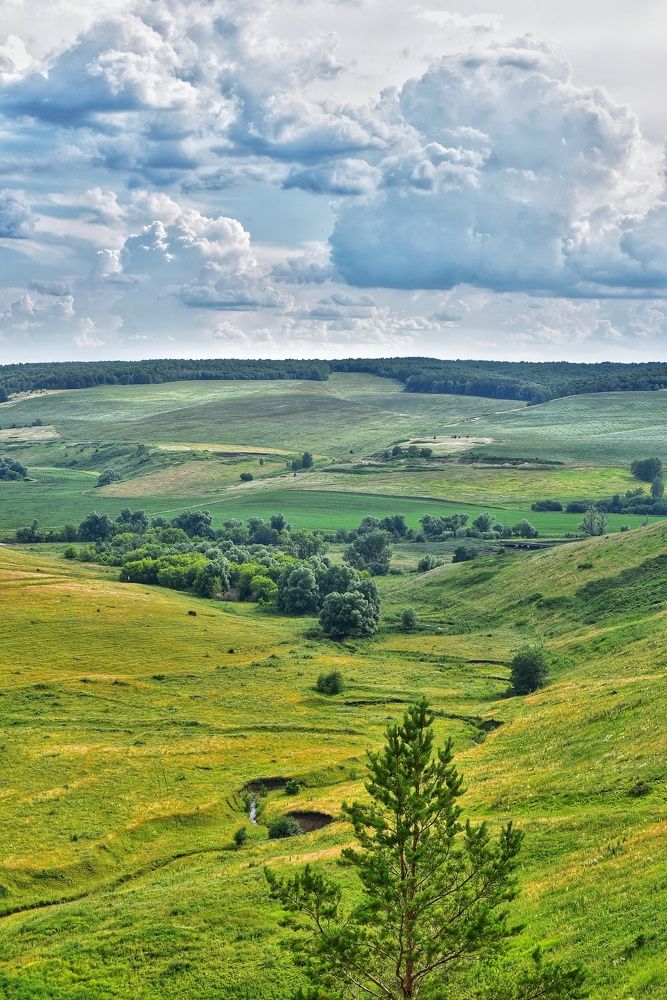 Photograph by Ильдар Гараев