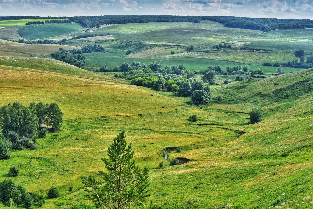 Photograph by Ильдар Гараев