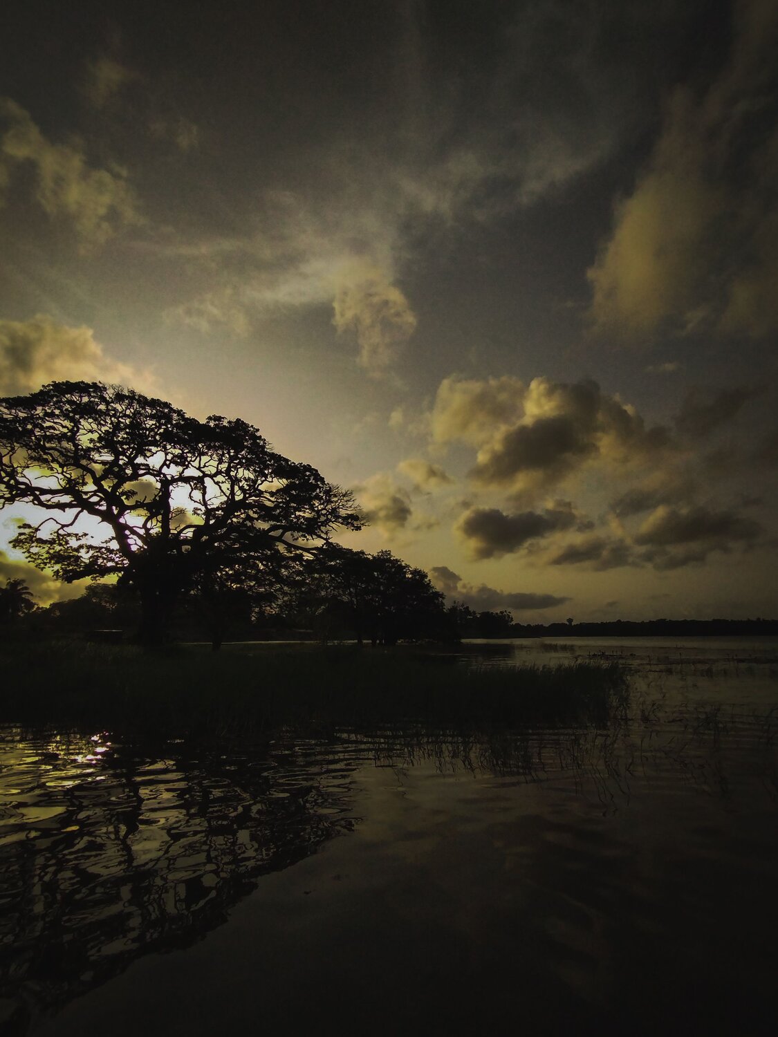 Photo #7940139