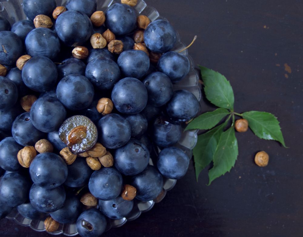 Photograph by Tatevik Tananyan