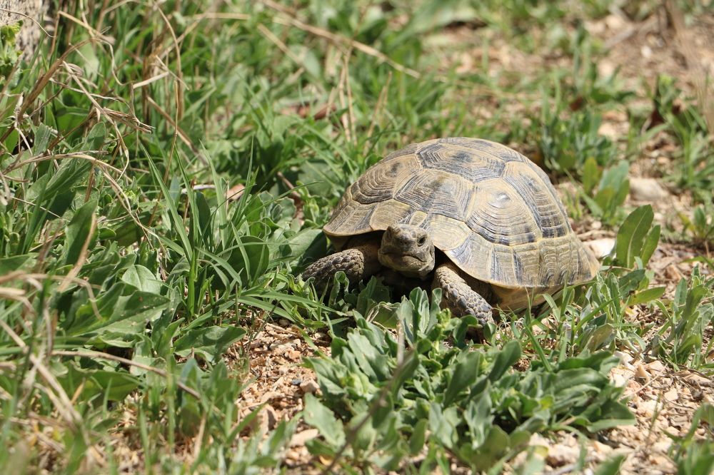 Photograph by Cengiz Yalcin