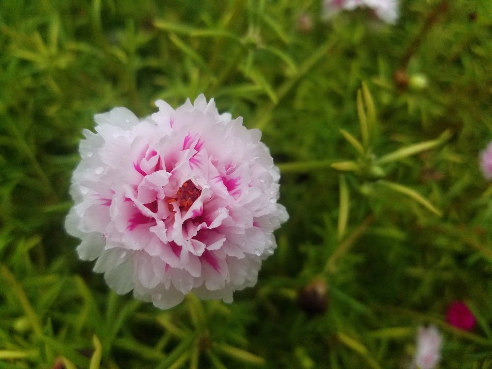 Photo #7940216
