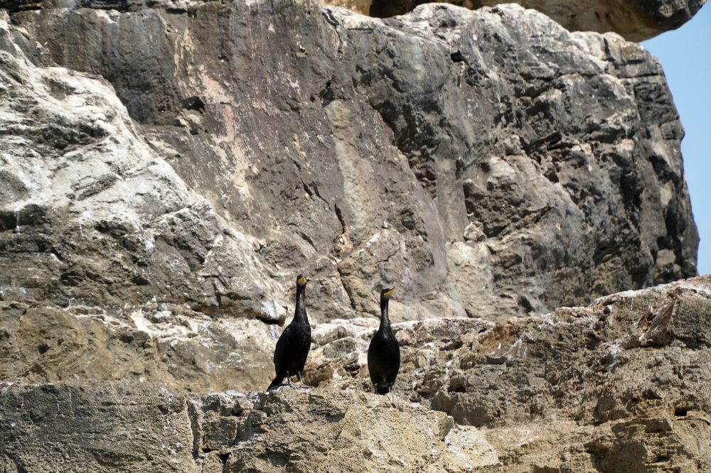 Photograph by Чавдар Георгиев