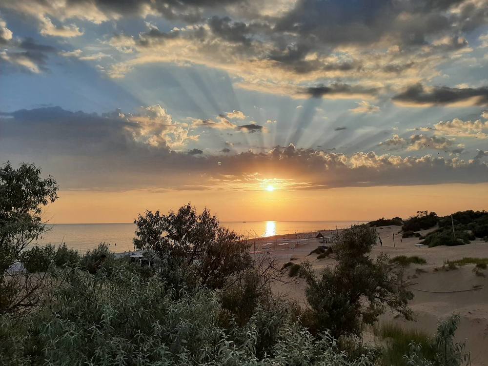 Photograph by Ольга