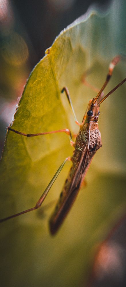 Photograph by Deepusuresh