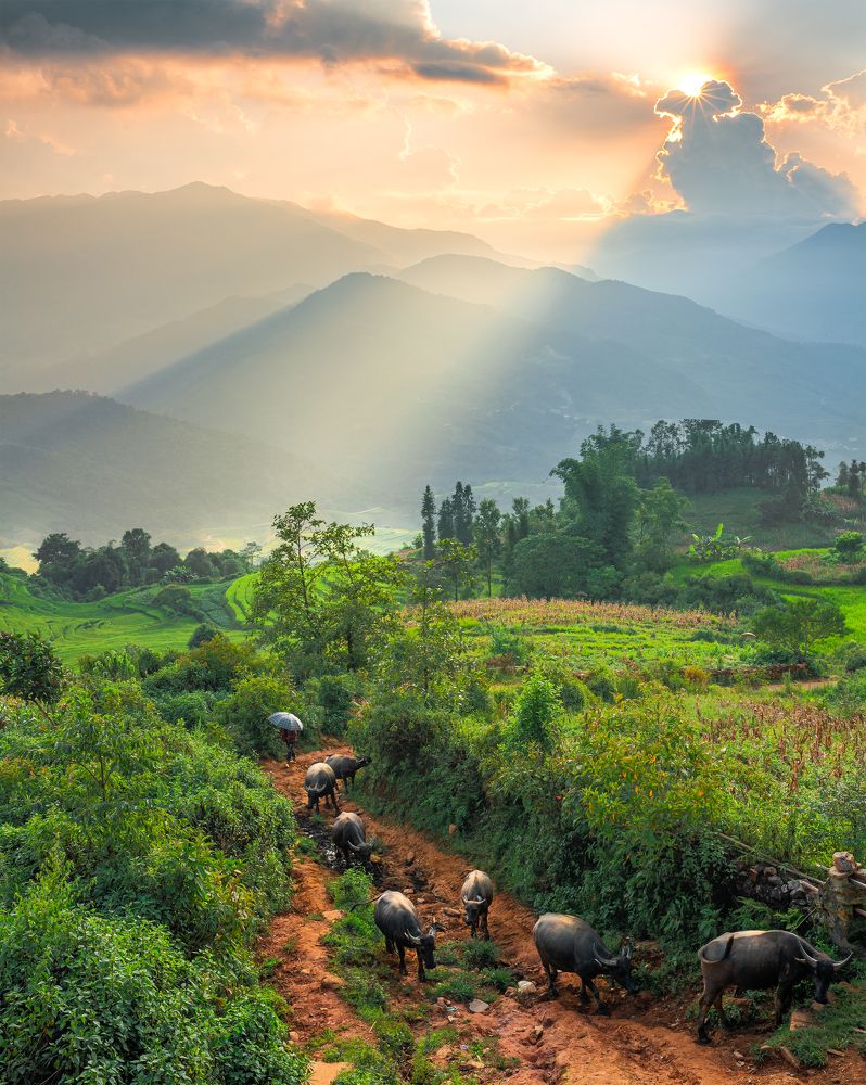 Фотография автора Bảo Nguyễn Gia