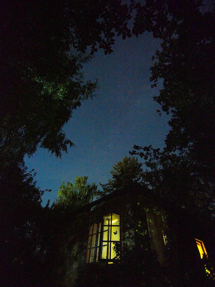 Photograph by Маргарита Смоленская