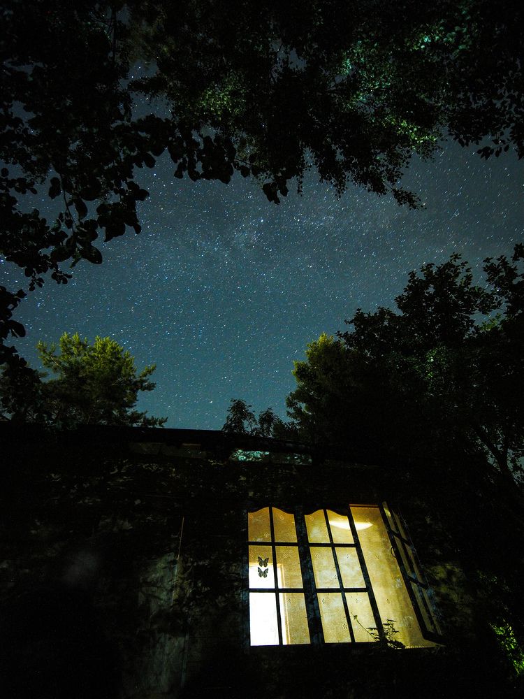 Photograph by Маргарита Смоленская