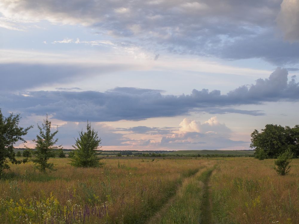 Photograph by Максим Покидышев