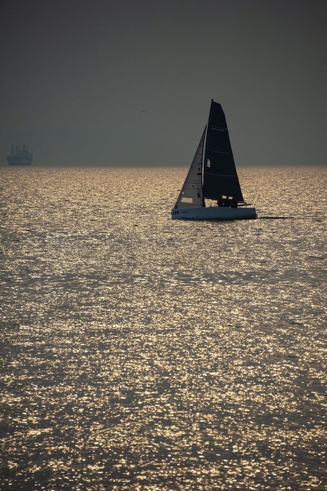 Фотография автора Дмитрий Старостин