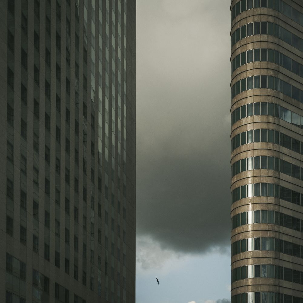 Photograph by Stefan Gonzalevski