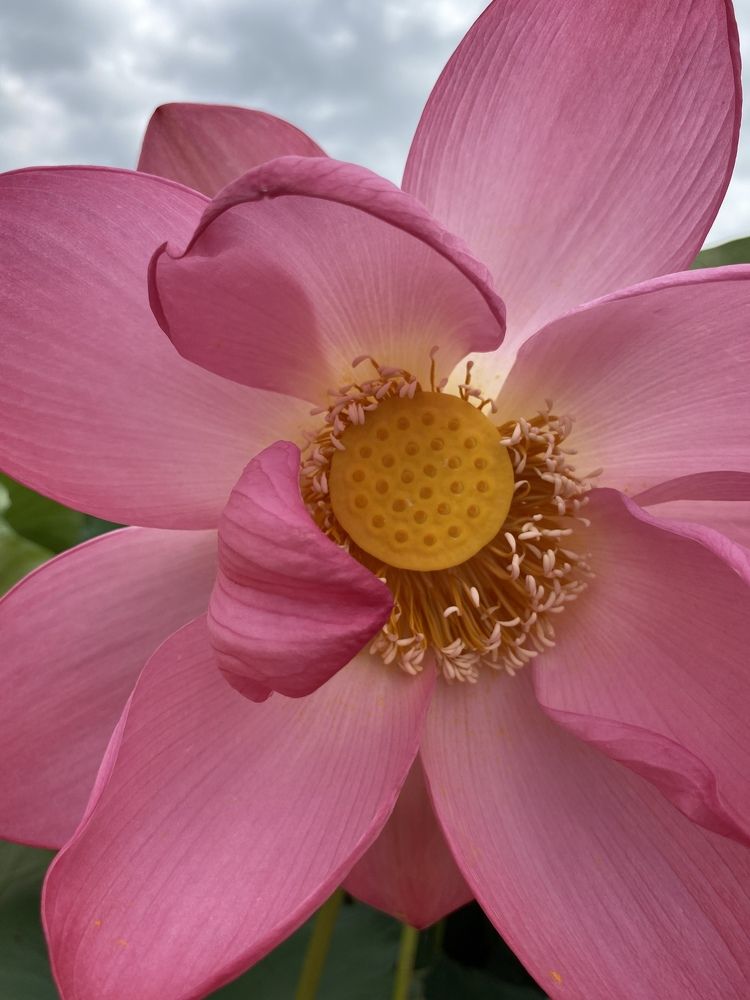 Photograph by Konstantin Kalmykov