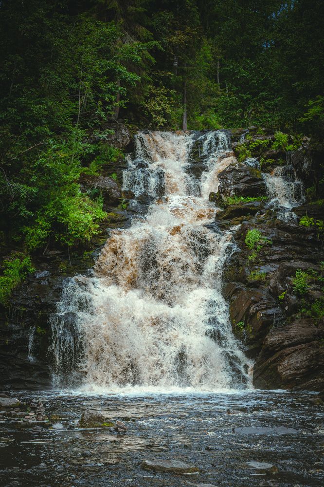 Photograph by Евгений Москвин