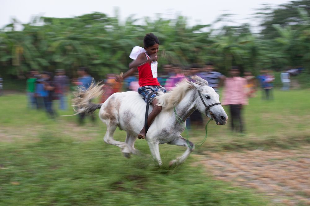 Photograph by Vivek Prasad