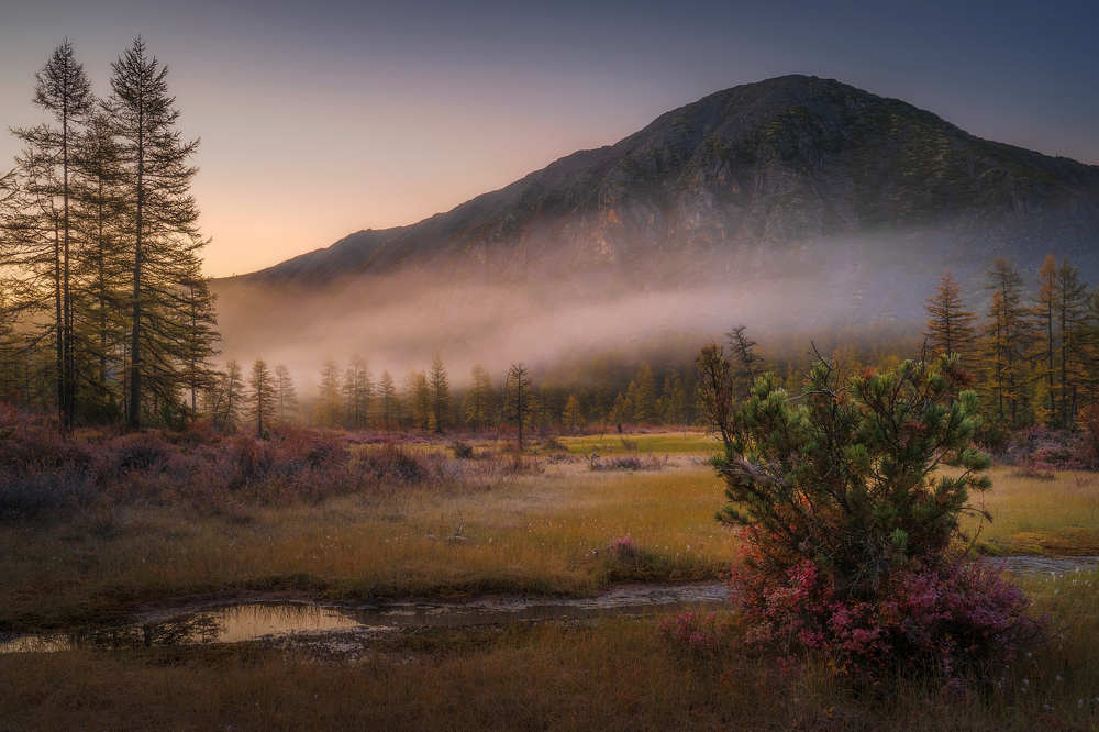 Photograph by Сергей Межин