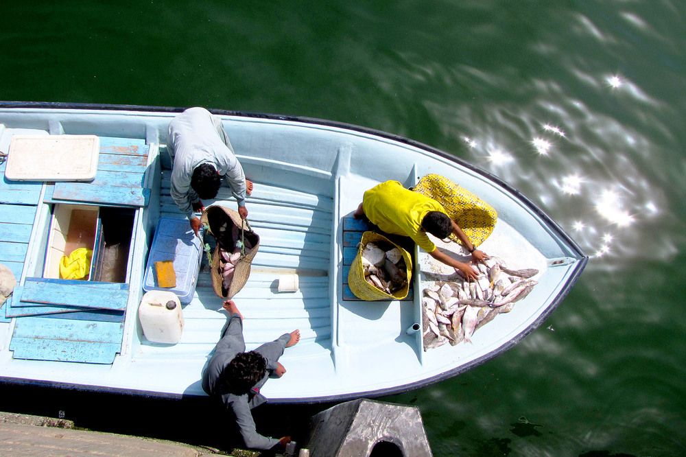 Photograph by mehdi karimi souderjani