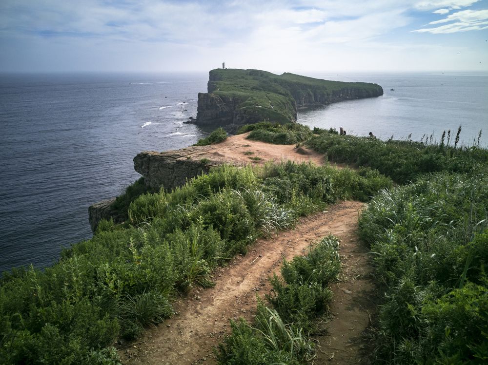 Фотография автора Андрей Логвинович