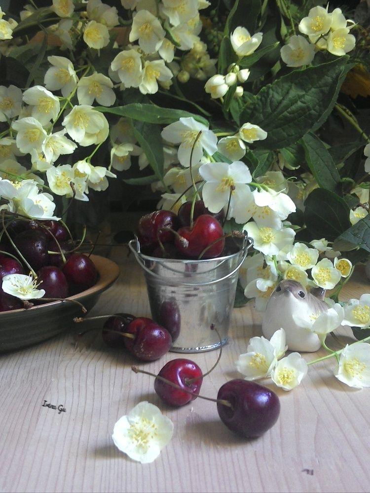 Фотография автора Гусева Ирина