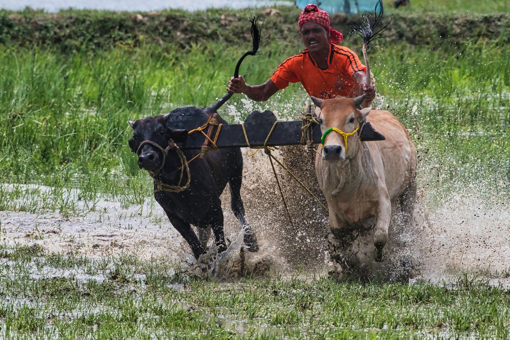 Photograph by Vivek Prasad
