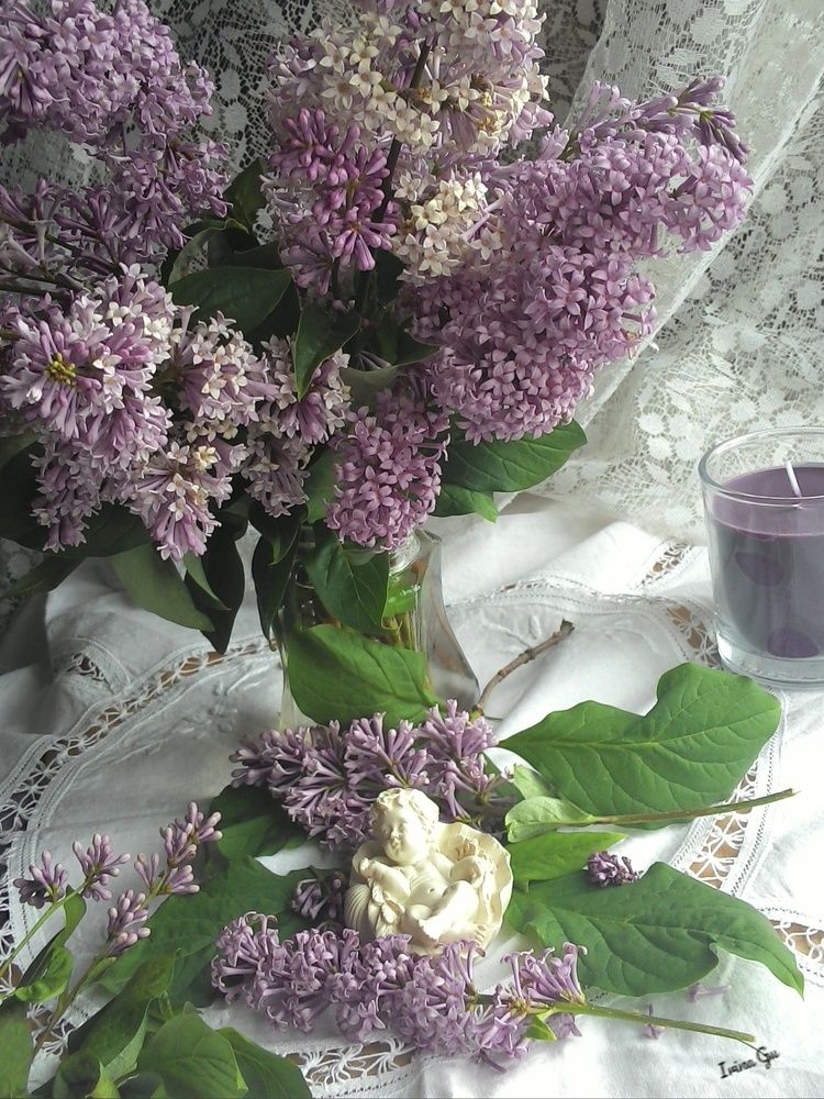 Фотография автора Гусева Ирина