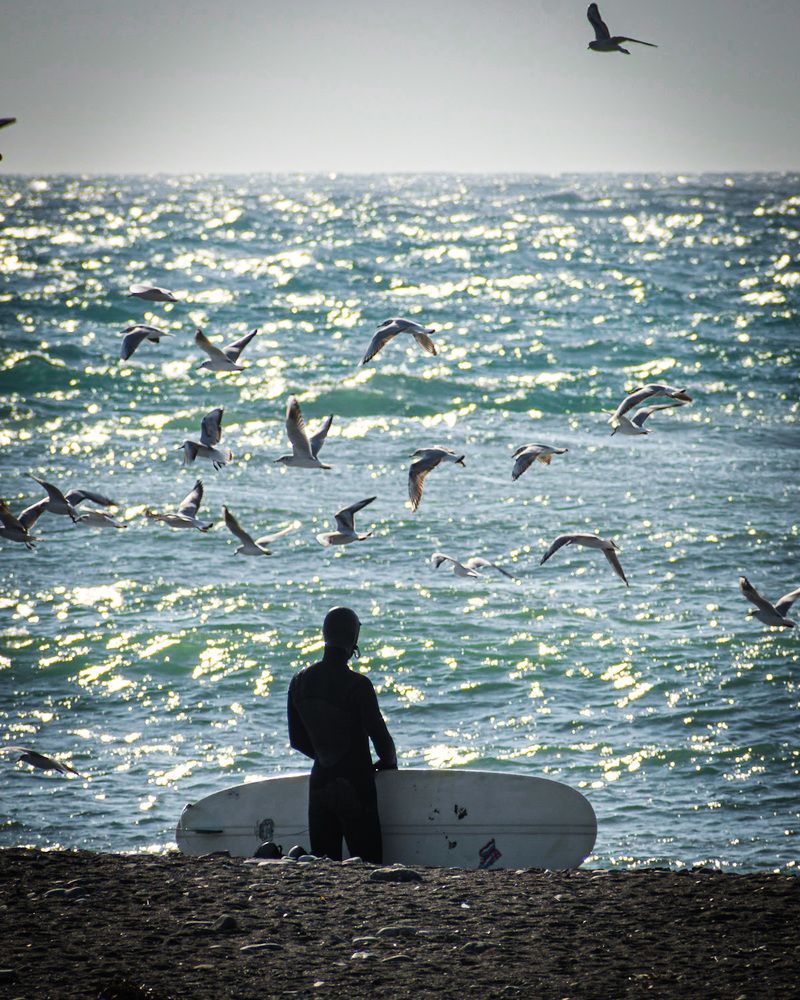 Photograph by Андрей Го