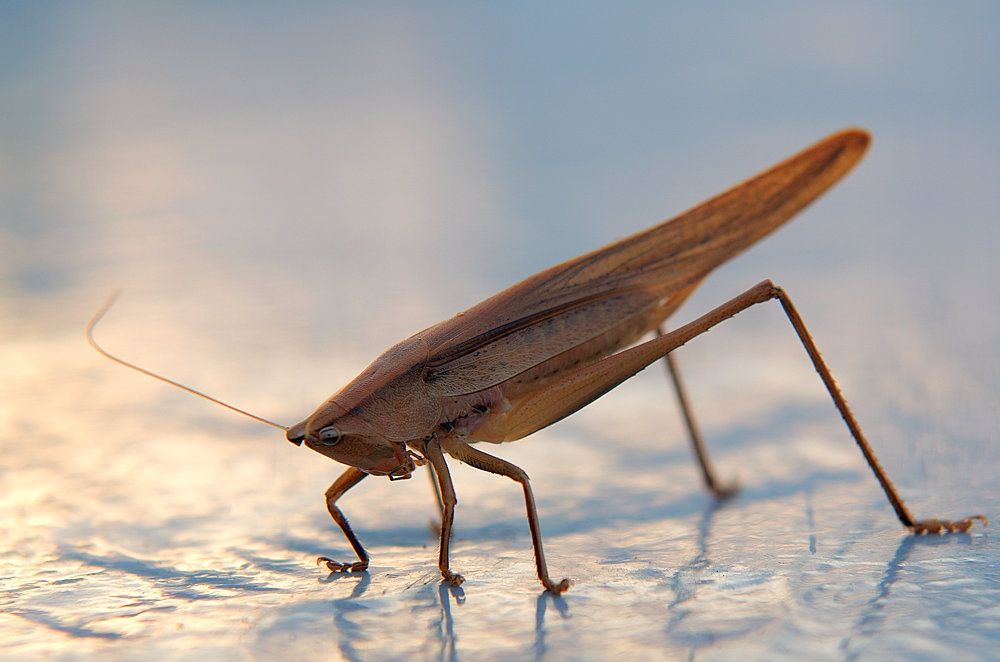 Фотография автора Андрей Неденко