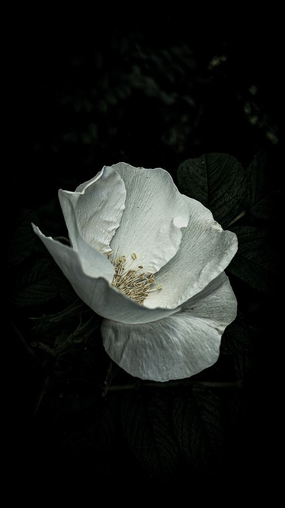 Photograph by Дарья Макаревич