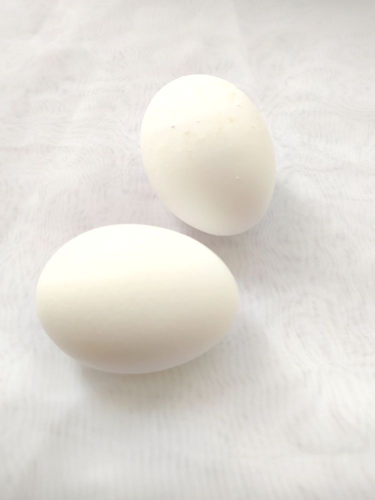 Photograph by Любовь Сухова