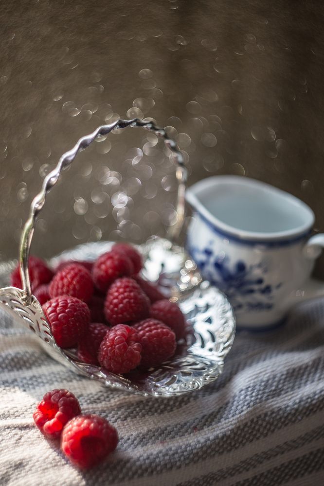 Photograph by Tatiana Kurilas