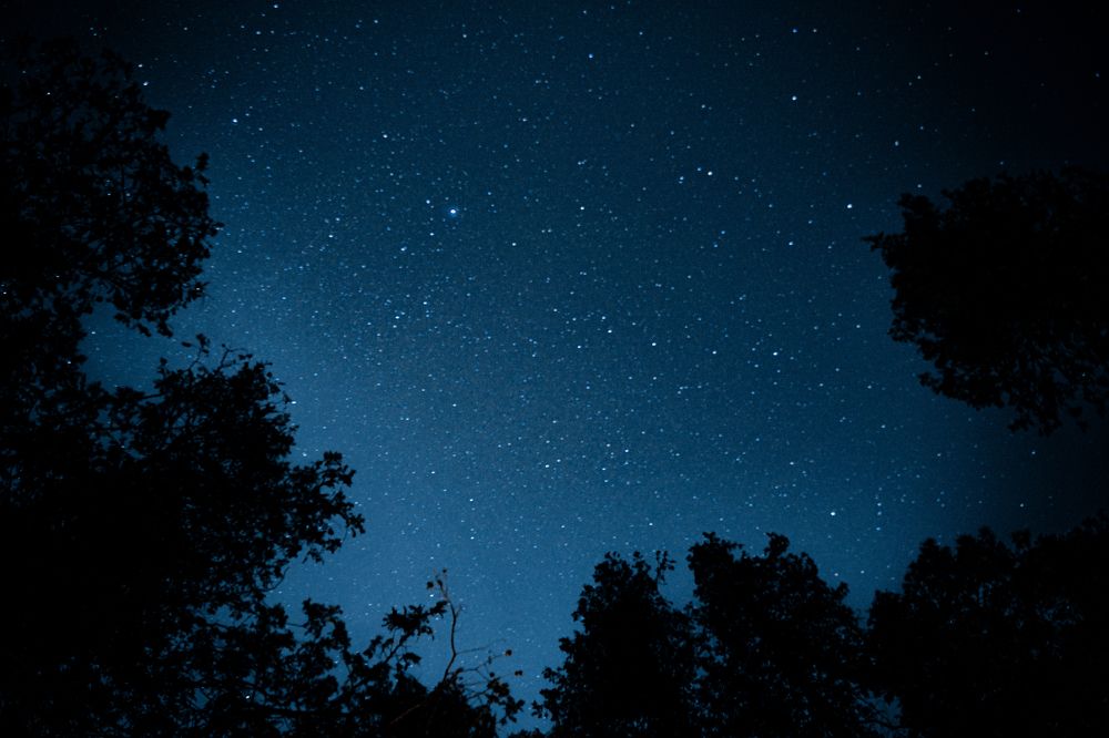 Photograph by Dmitrii Bondarenko