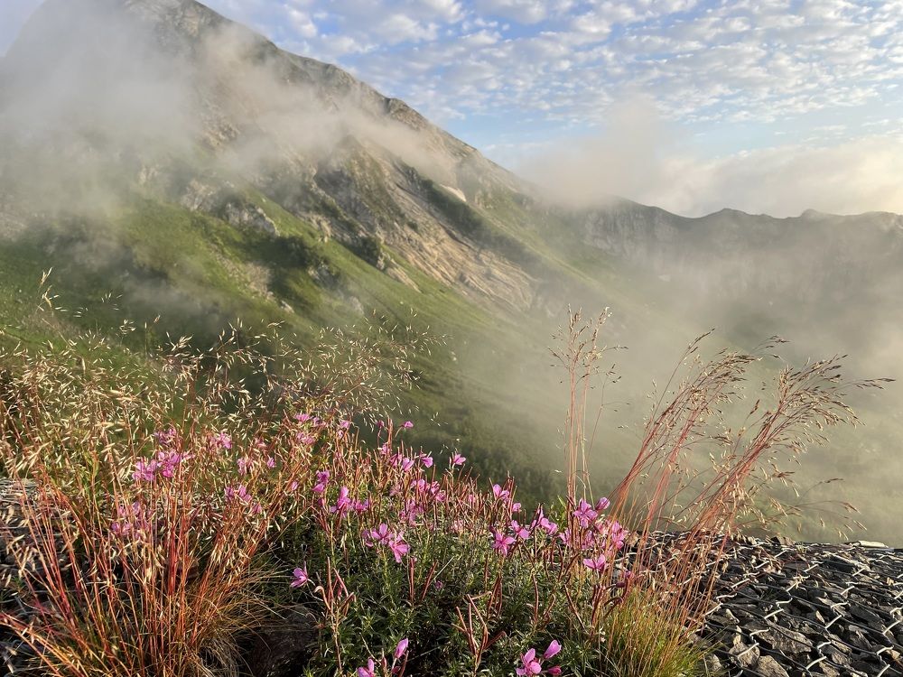 Photograph by Катерина