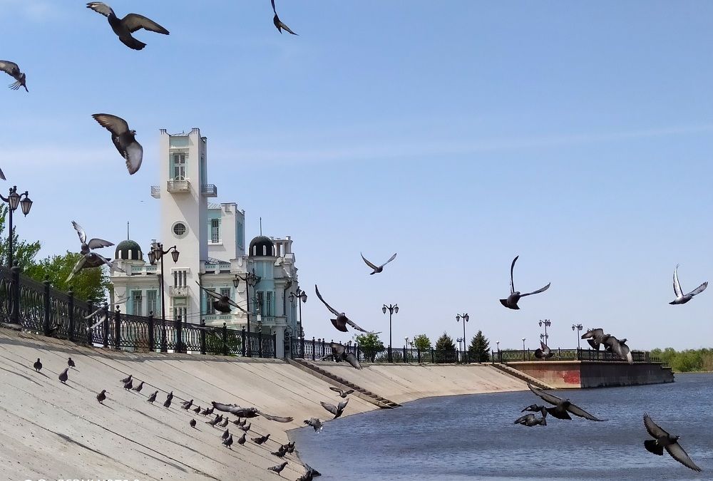 Photograph by Татьяна Васильева