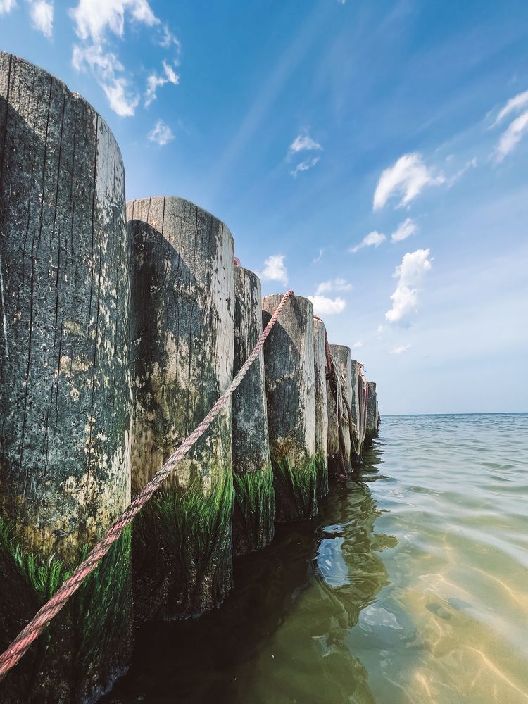 Photograph by Nadeshda Weber