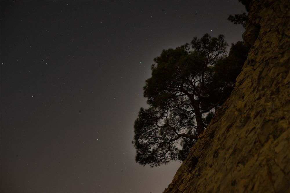 Photograph by Чудинин Дмитрий