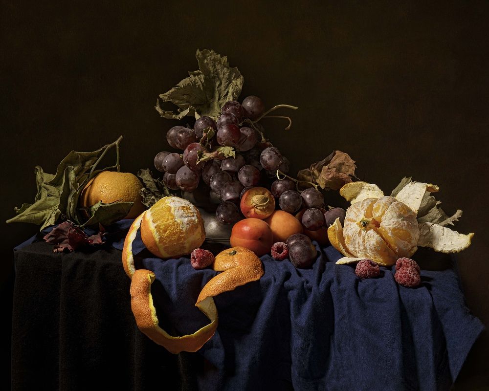 Photograph by Диана Трильо