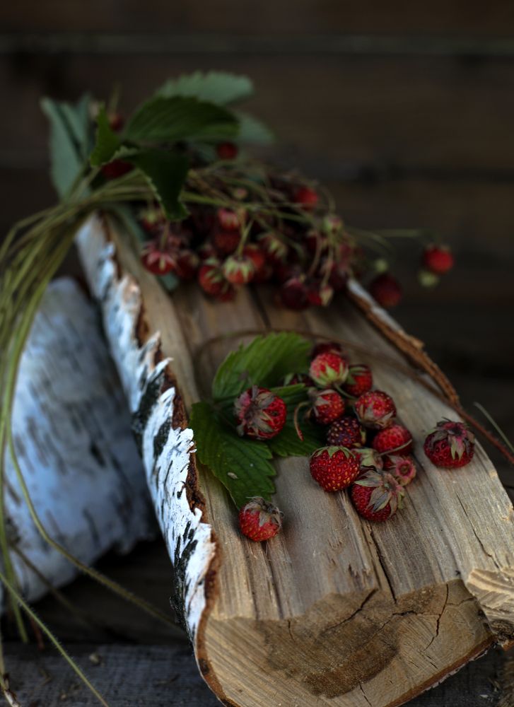 Photograph by Татьяна