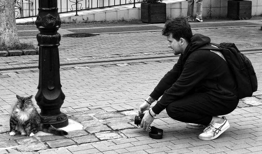 Photograph by Наталья Трофимова