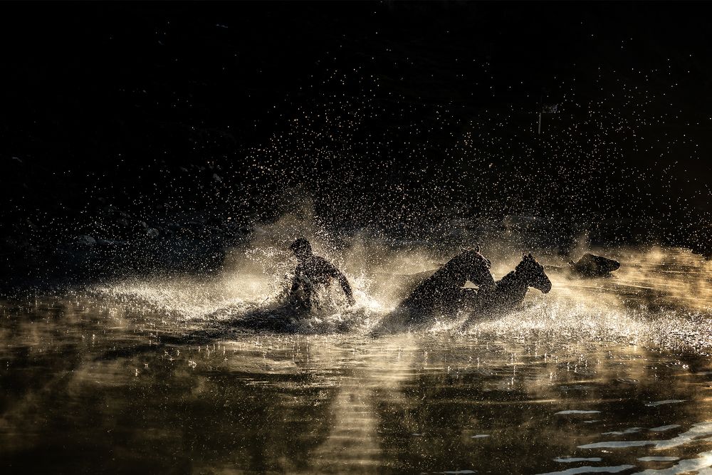 Фотография автора Fikriye Er