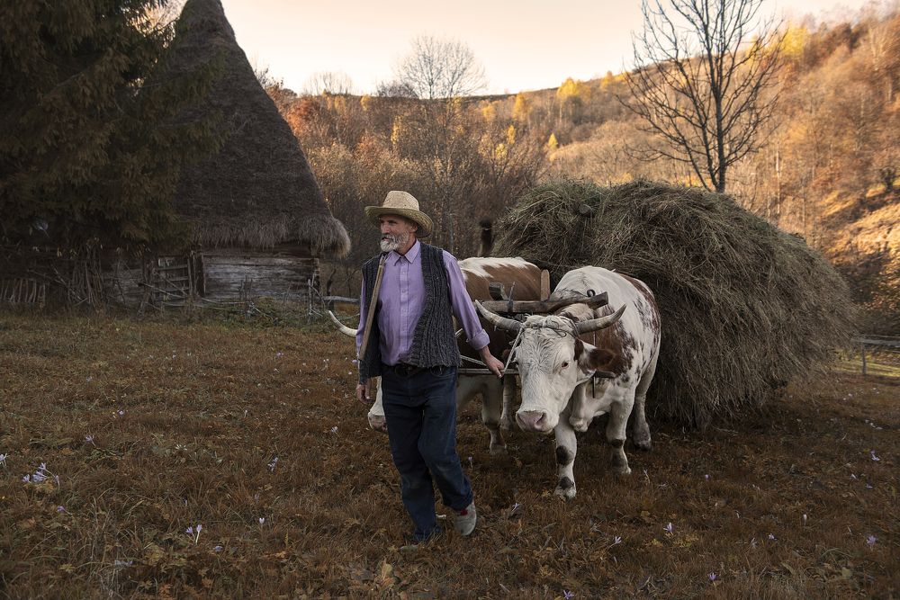 Photograph by George Alexandru