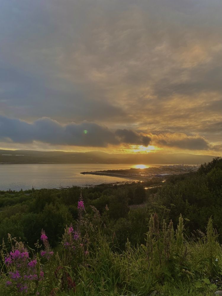 Photograph by Ирина Волгина
