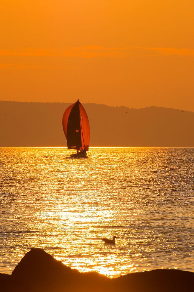 Photograph by Matko Matkovic