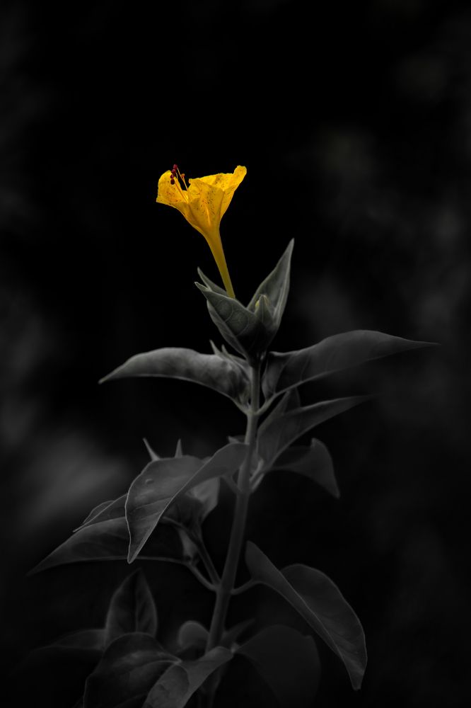 Photograph by Rustu Erata