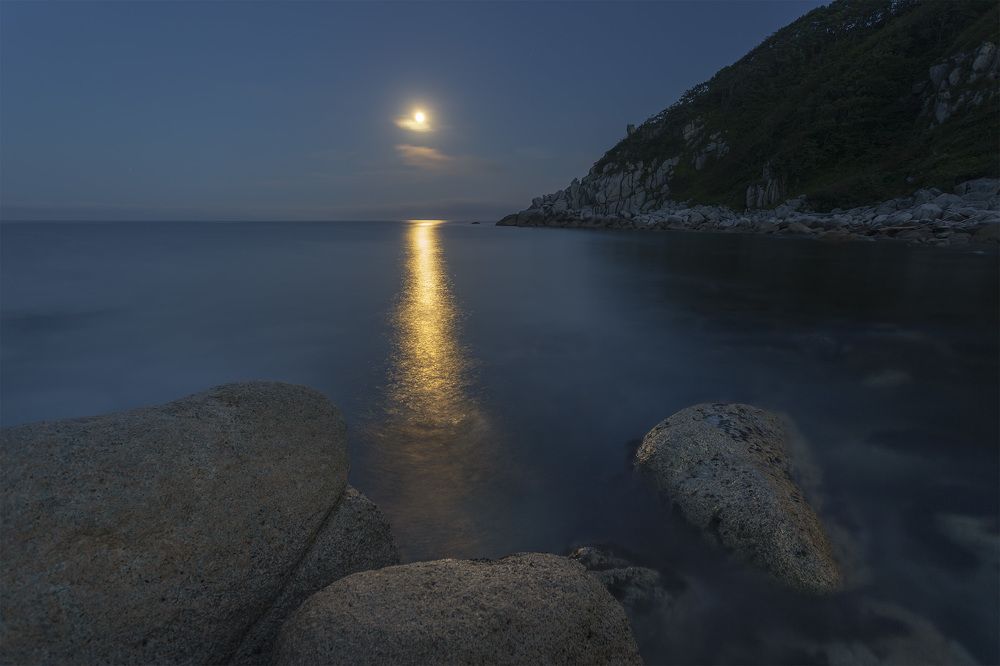 Photograph by ALEKSANDR KUZNETSOV