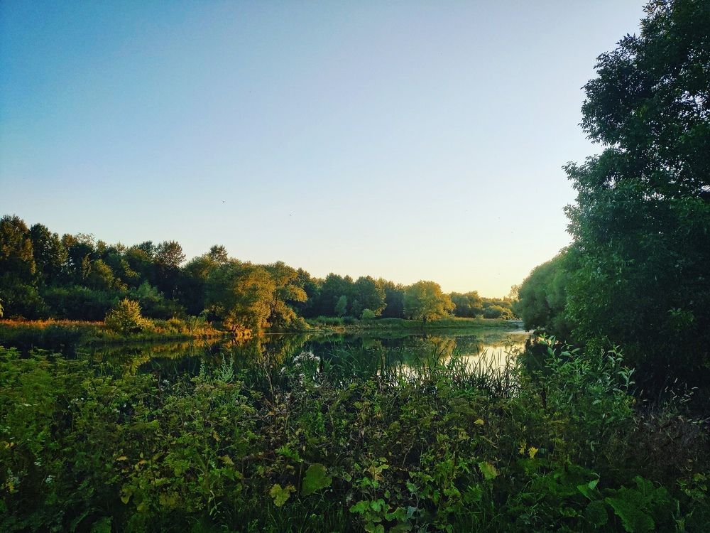 Photograph by Владимир Поздняков