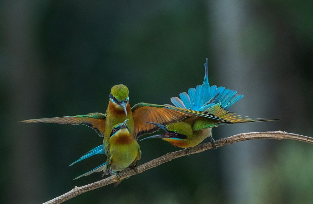 Photograph by CHINMOY BISWAS